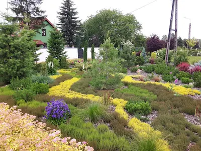 Las i Ogród - Aranżacja ogrodów, Nawadnianie i Pielęgnacja Zieleni Dolatowska Anna